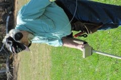 IMG_1347